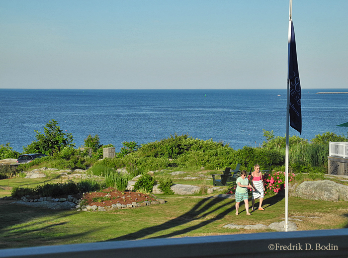 The grounds of the Emerson have beautiful plantings, benches, and a pool.