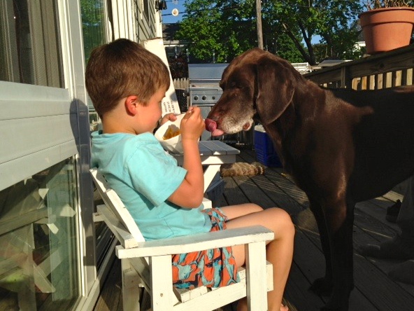 Our very own Marlin hoping to score some dinner from Finn 