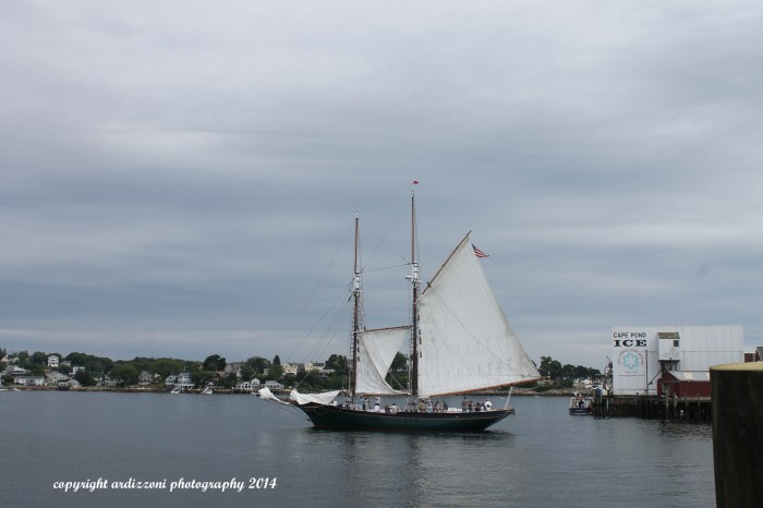 July 20, 2014 The Lannon on a beautiful day
