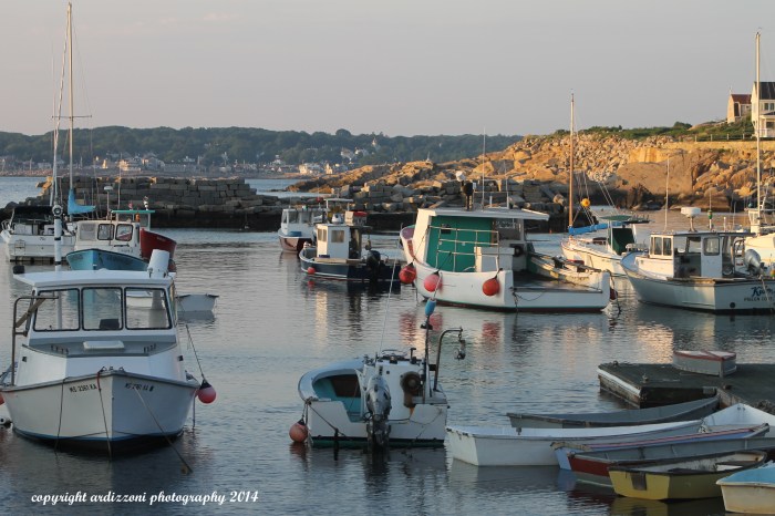 July 8, 2014 Pigeon Cove