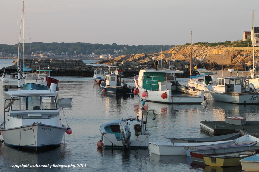 July 8, 2014 Pigeon Cove