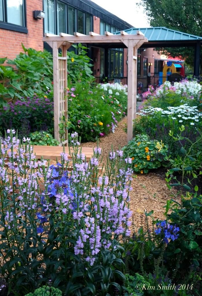 Pathways for Children Butterfly Garden ©Kim Smith 2014 copy