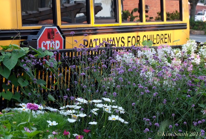 Pathways for Children Butterfly Garden school bus ©Kim Smith 2014.