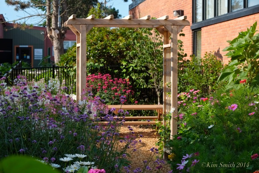 Pathways for Children we ©Kim Smith 2014