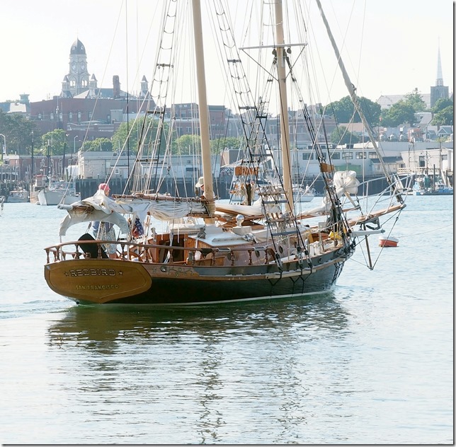 Redbird arrives in Gloucester