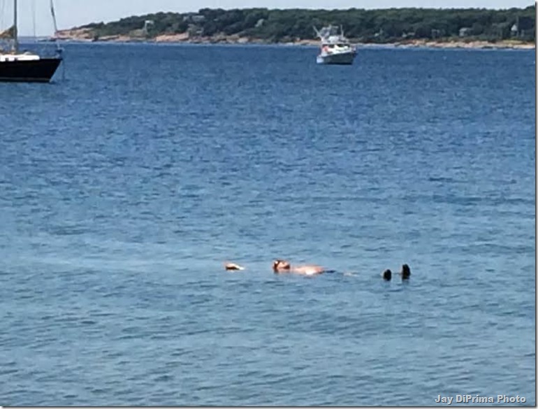 The Zen of Flotsam & Jessum