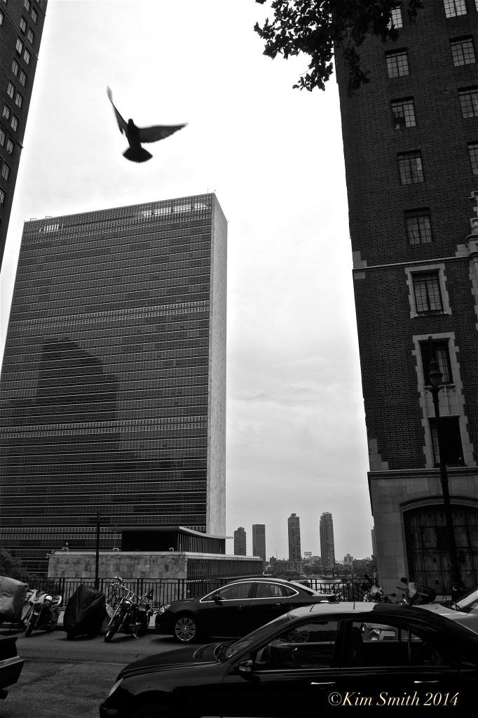 UN Headquarters Dove of Peace ©Kim Smith 2014