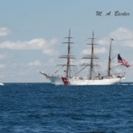 View album View album