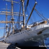 View album View album