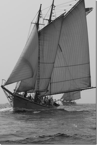 American Eagle with Alabama in pursuit