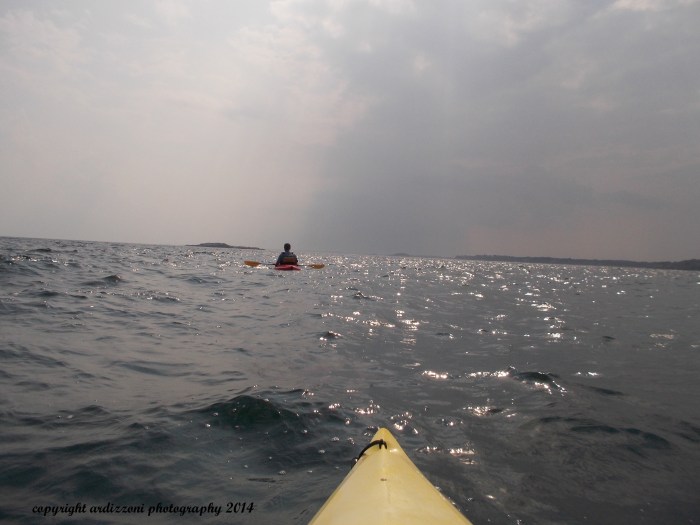 August 1, 2014 following Rick