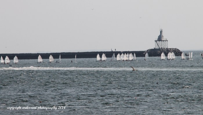 August 11, 2014 Junior Olympic Sailing Festival