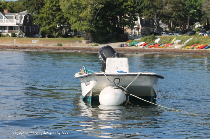 August 18, 2014 Blue water