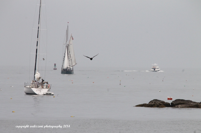 August 2, 2014 Even on a foggy day