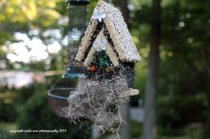 August 23, 2014 edible bird feeder