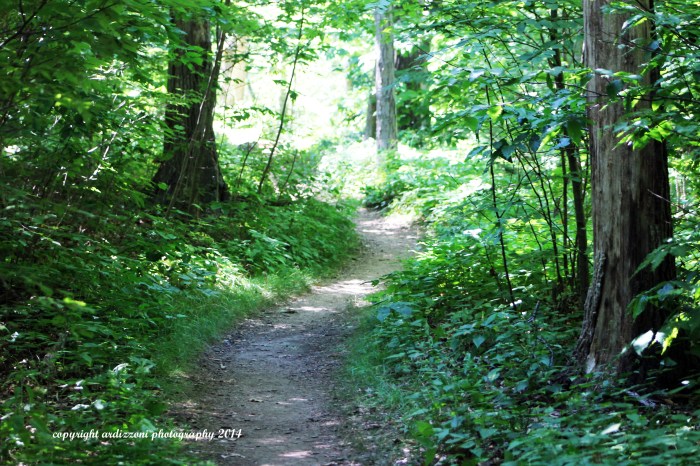 August 24, 2014 magical foot path