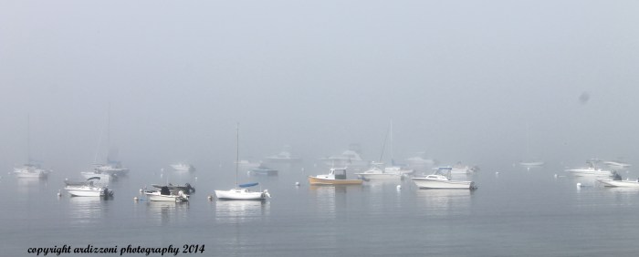August 4, 2014 Magnolia Beach in the fog