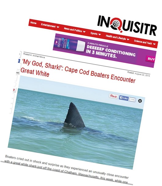 capecodshark3