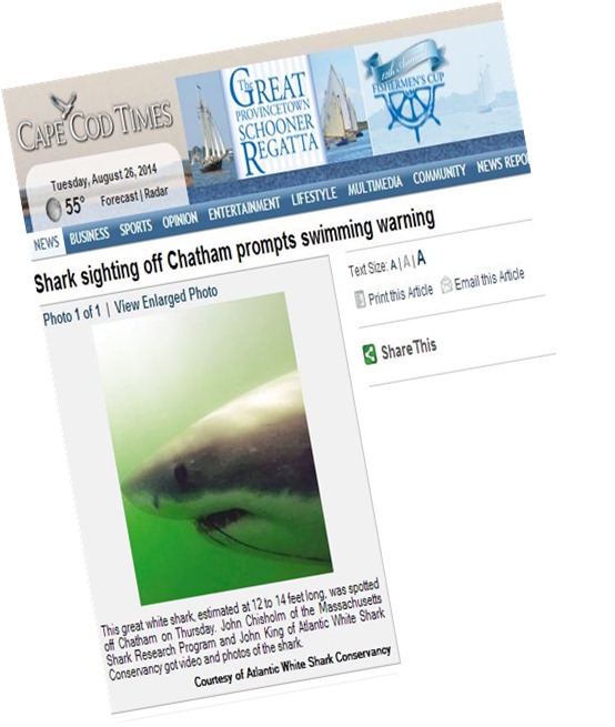 capecodshark