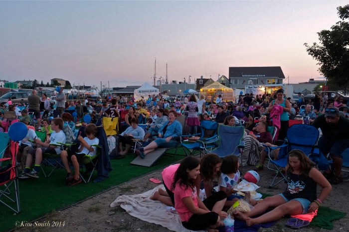 Gloucester summer Cinema -2 ©Kim Smith 2014