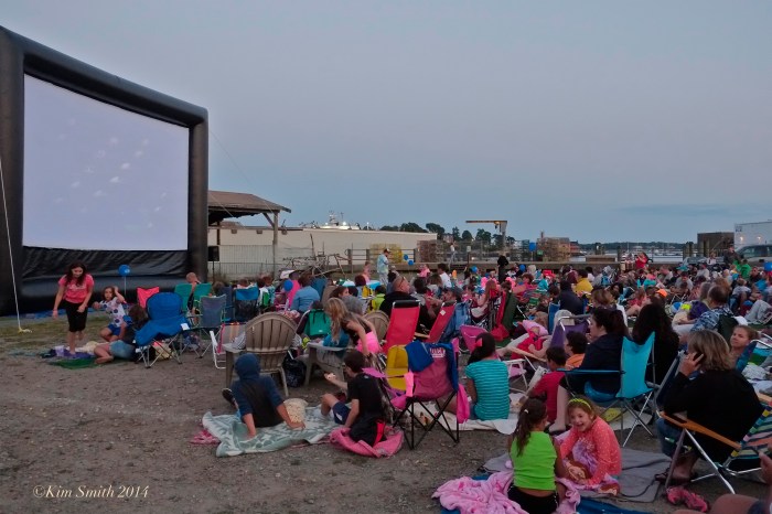 Gloucester summer Cinema -2 ©Kim Smith 2014