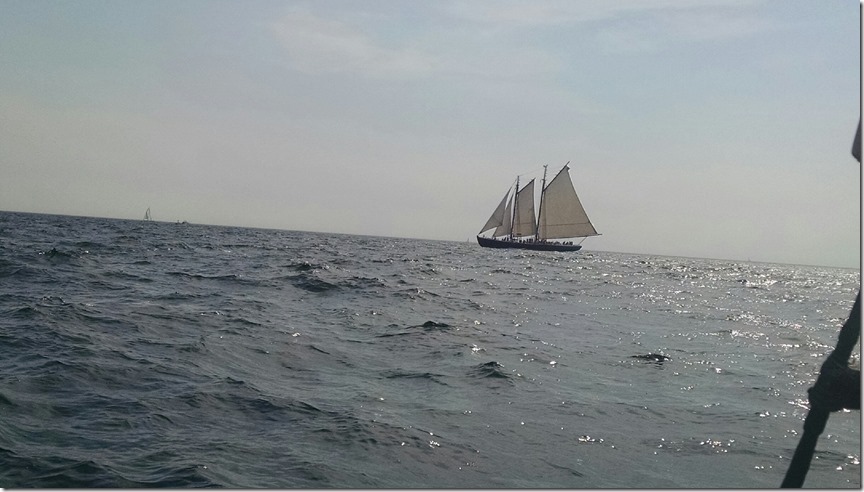 IMG_20140831_143513014