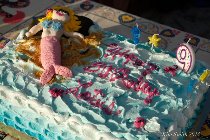 Maria Cracchiola birthday cakemermaid ©Kim Smith 2014