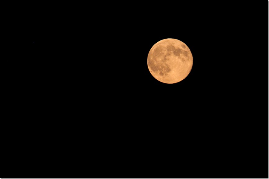 SuperMoon8-10'14_7634