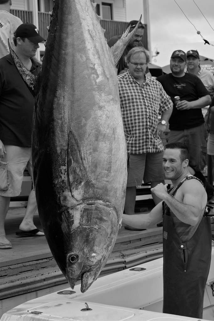 Tonna 588 pound tuna Bluefin Blowout