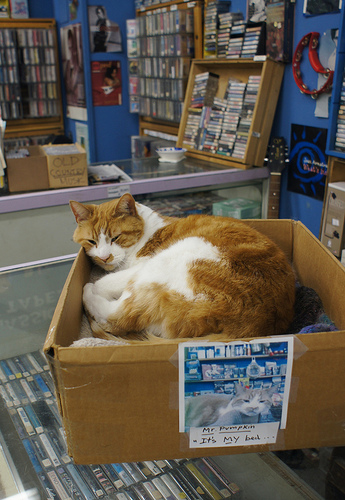 6944842501_02577afbe9