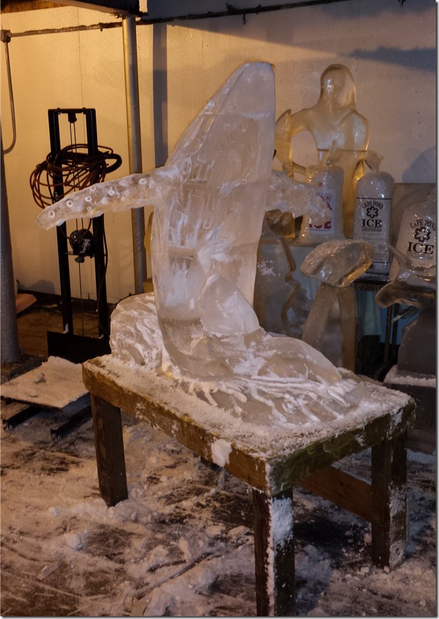 Donalds humpback whate 2014 20140920_145503