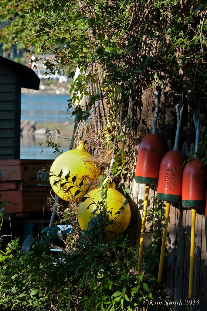 Goose Cove ©Kim Smith 2014 copy
