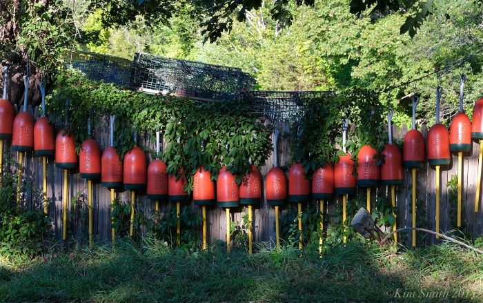 Goose Cove Gloucester ©Kim Smith 2014