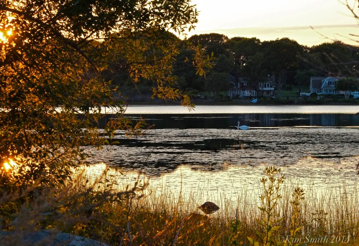 Niles Pond © 2014 Kim Smith