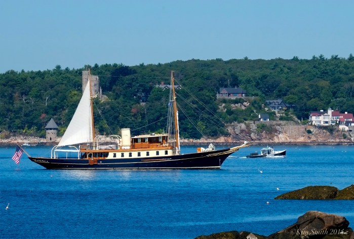 Sailboat ©Kim Smith 2014JPG