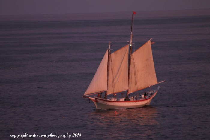 September 14, 2014 Strawberry Cove