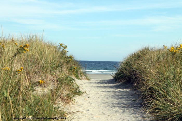 September 24, 2014 A path to relaxation