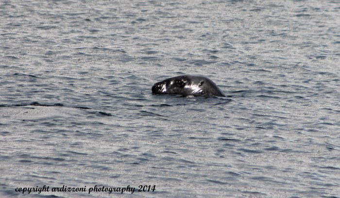 September 24, 2014 Our Seal