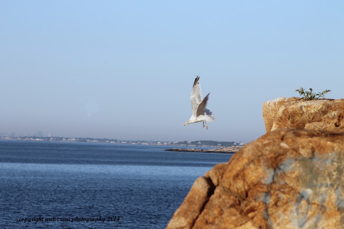 September 4, 2014 something looks good