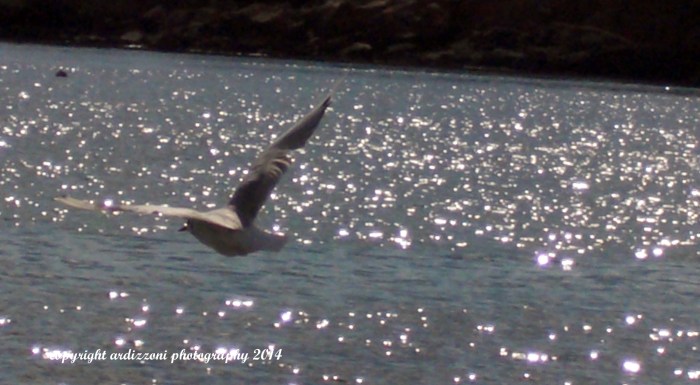 September 6, 2014 flying over a sea of diamonds
