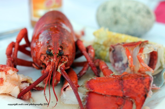 September 7, 2014 Are you looking at me