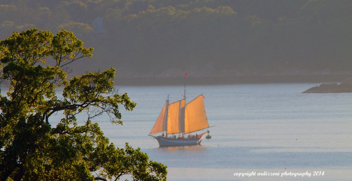 September 7, 2014 The Ardelle from Pilot Hill