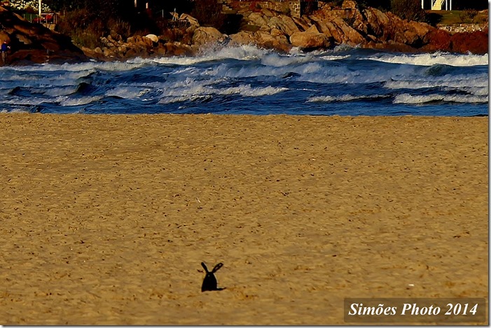 _2014_10_02_049729 Stitch - Copy