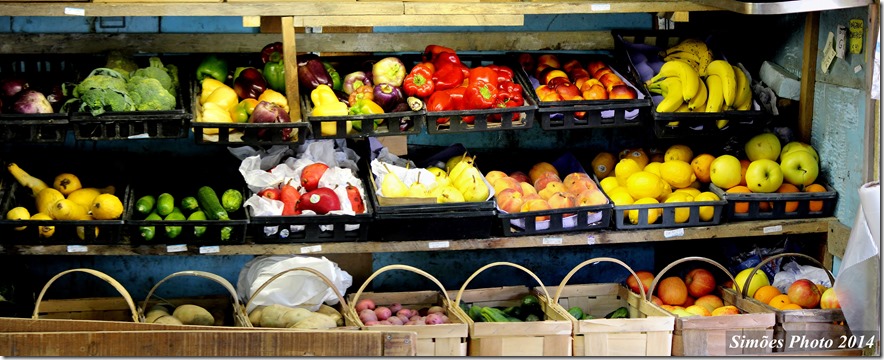 _2014_10_08_049860 Stitch