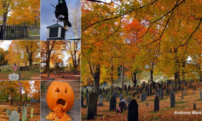 View album View album