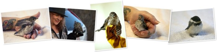 View album View album