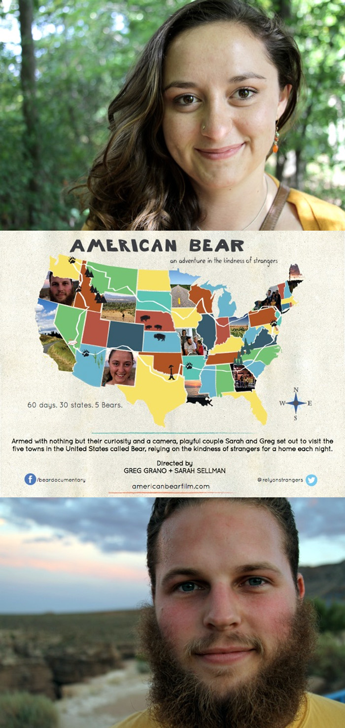 american bear
