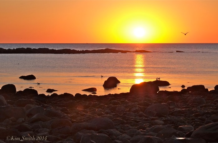 Brace Cove at sunrise ©Kim Smith 2014