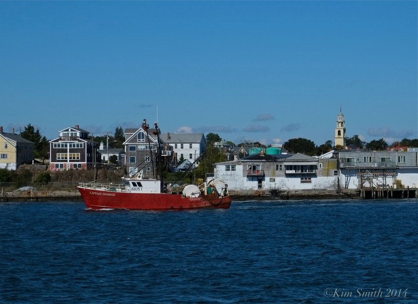 Captain Dominic ©Kim Smith 2014