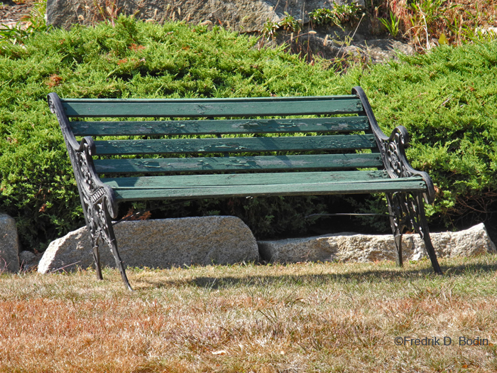 DrunkenBench4849wm